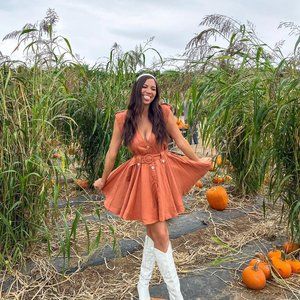 Showpo Amalie the Label Alexandre Linen Utility Style Mini Dress, Toffee